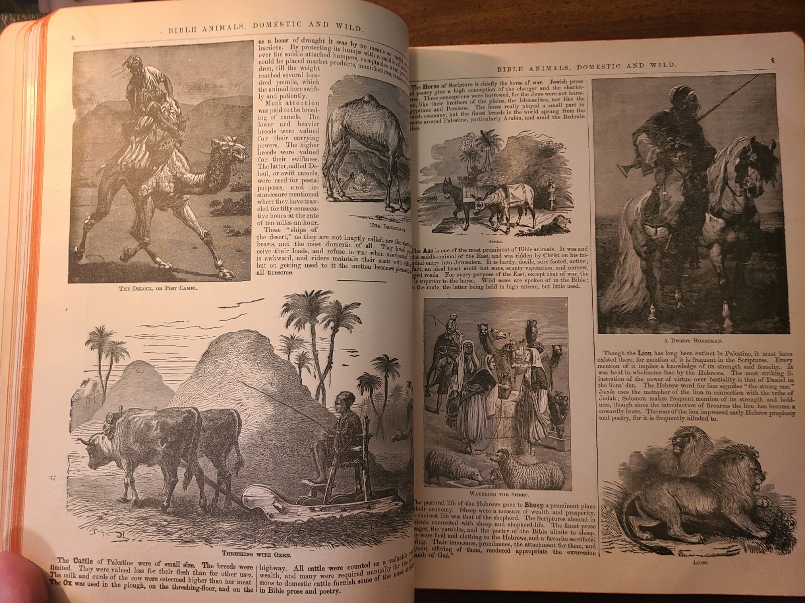 Antique 1891 Pictorial Family Bible Embossed Leather Gilded Pages Holman Edition
