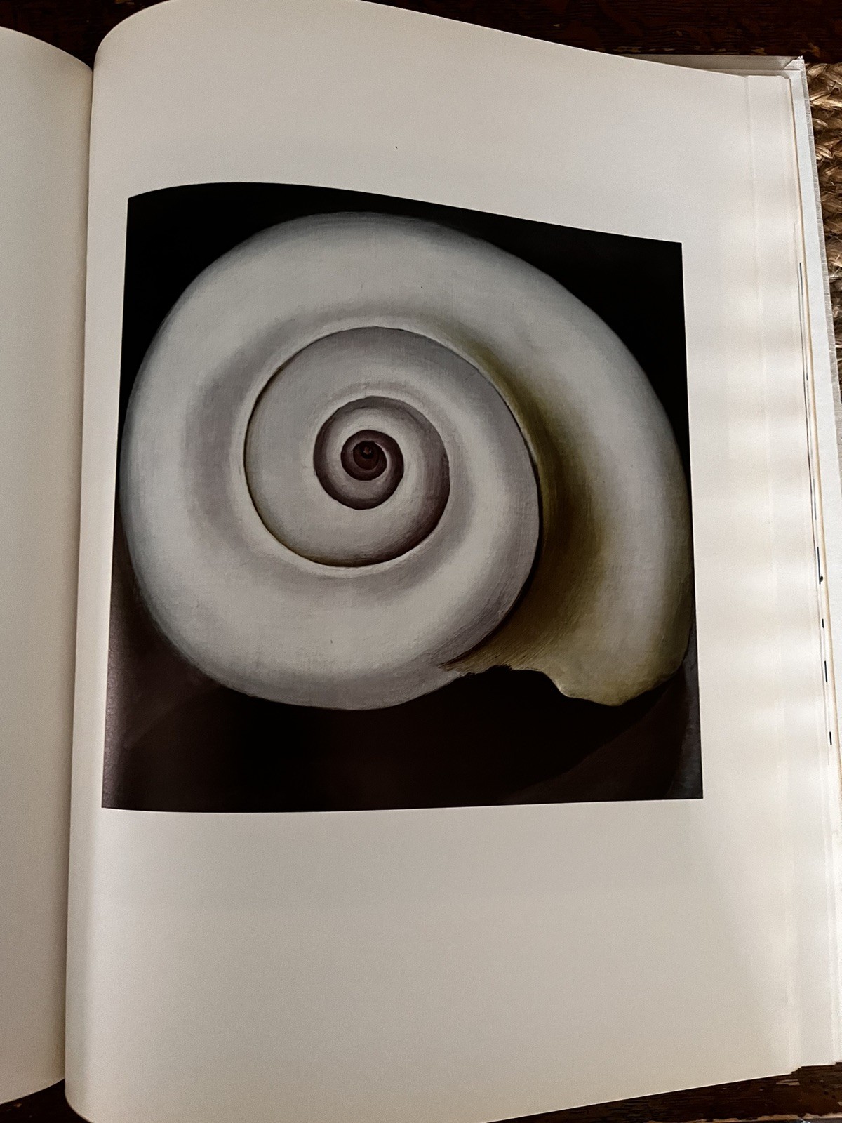 1st ED (NO Dust Jacket) Georgia O’Keeffe Viking Press NY 1976 “The Viking Book”