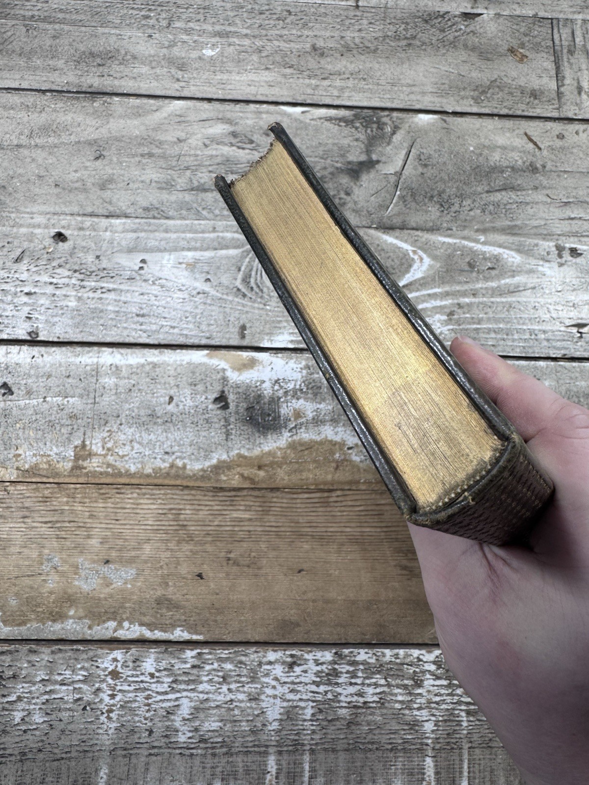 1903 Antique Biography “James: First Marquess of Montrose” Sime, 66/320 Limited