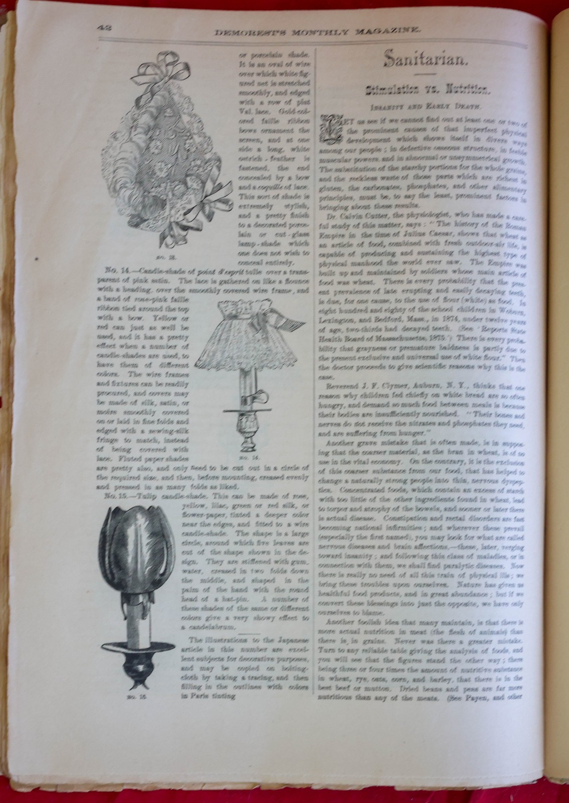 Antique 1888 Demorest’s Monthly Magazine Full Year 12 Issues Fashion Engravings
