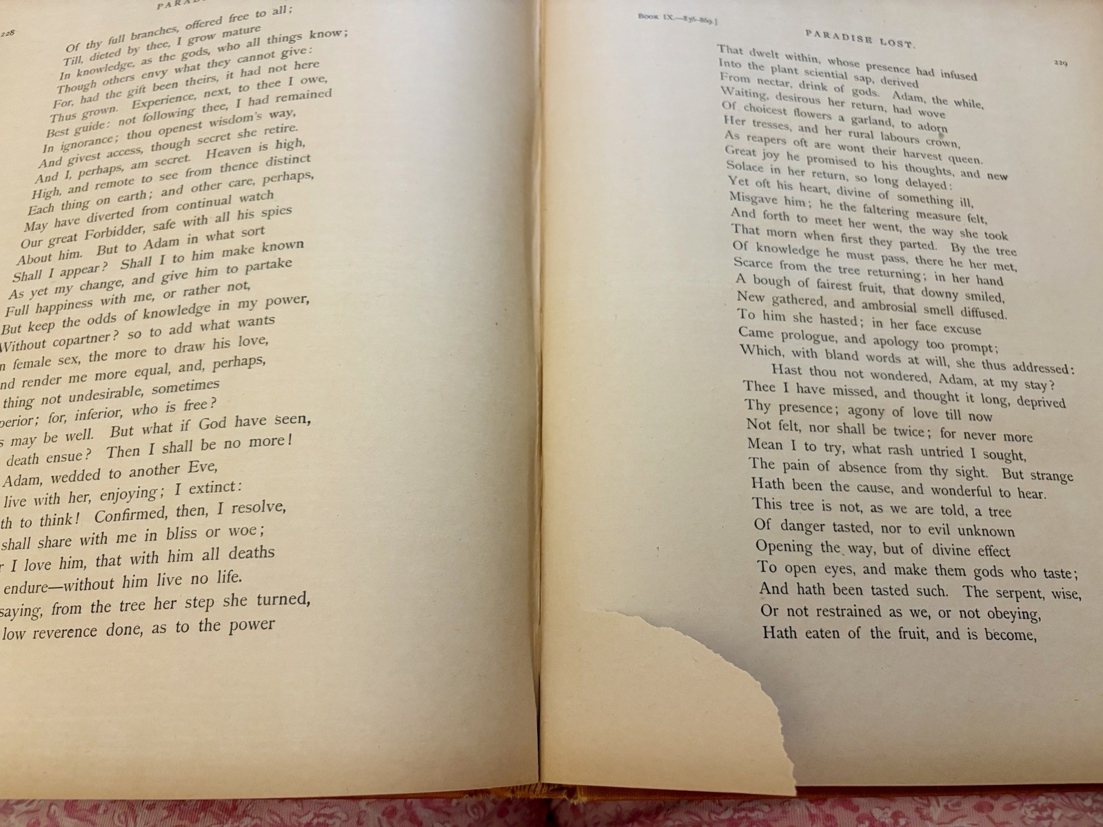 Milton’s Paradise Lost, Altemus Edition, Illustrated by Gustave Doré c. 1890
