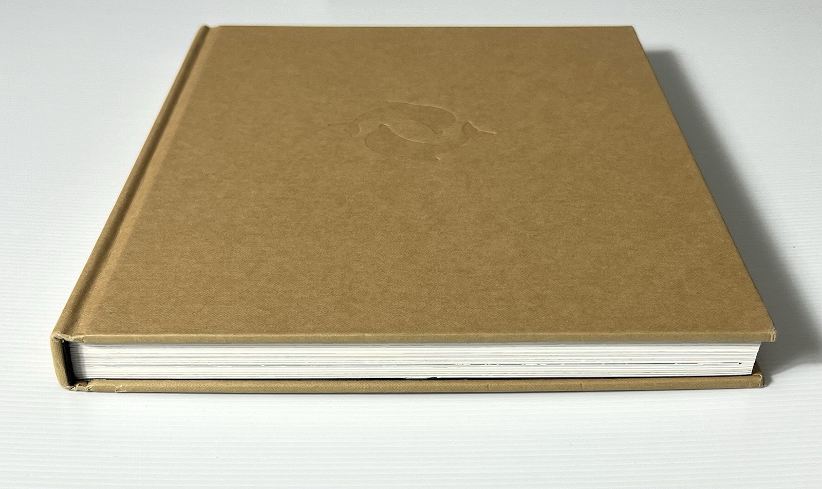 Cy Twombly Late Paintings 2003-2011 by Pavlouskova HC DJ 2015
