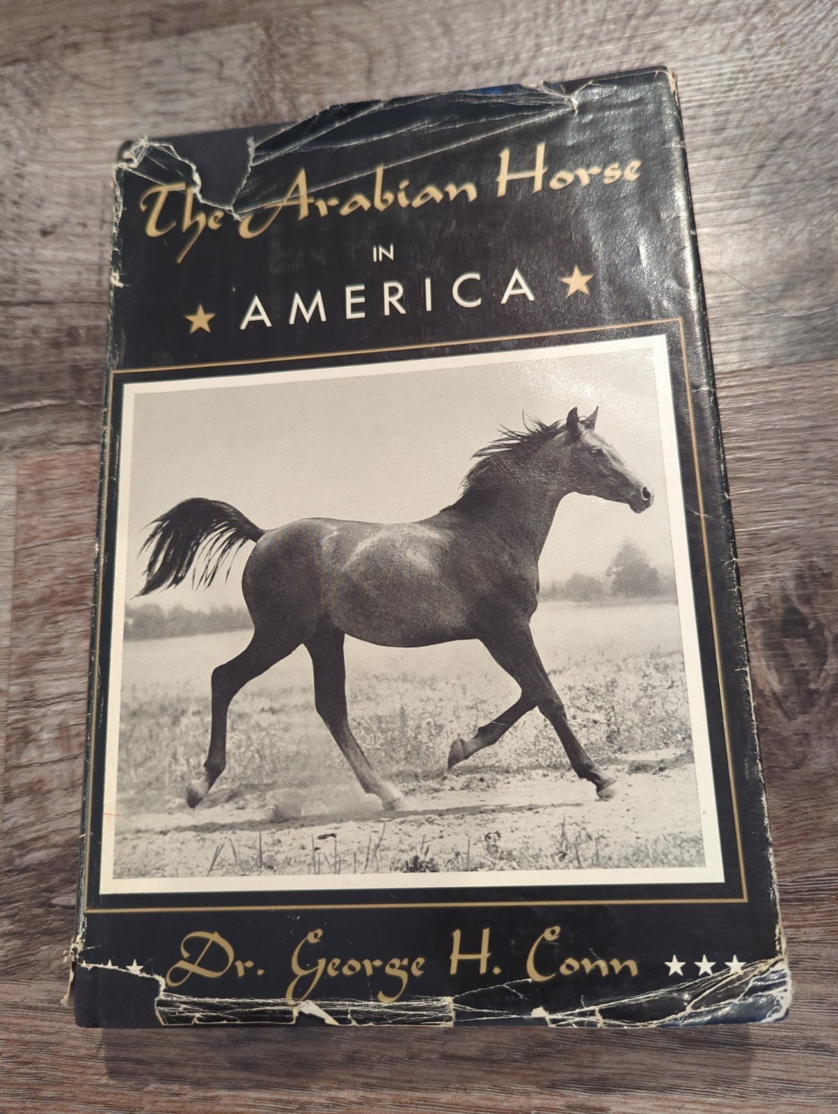The Arabian Horse in America – 1957 by Dr. George H. Conn