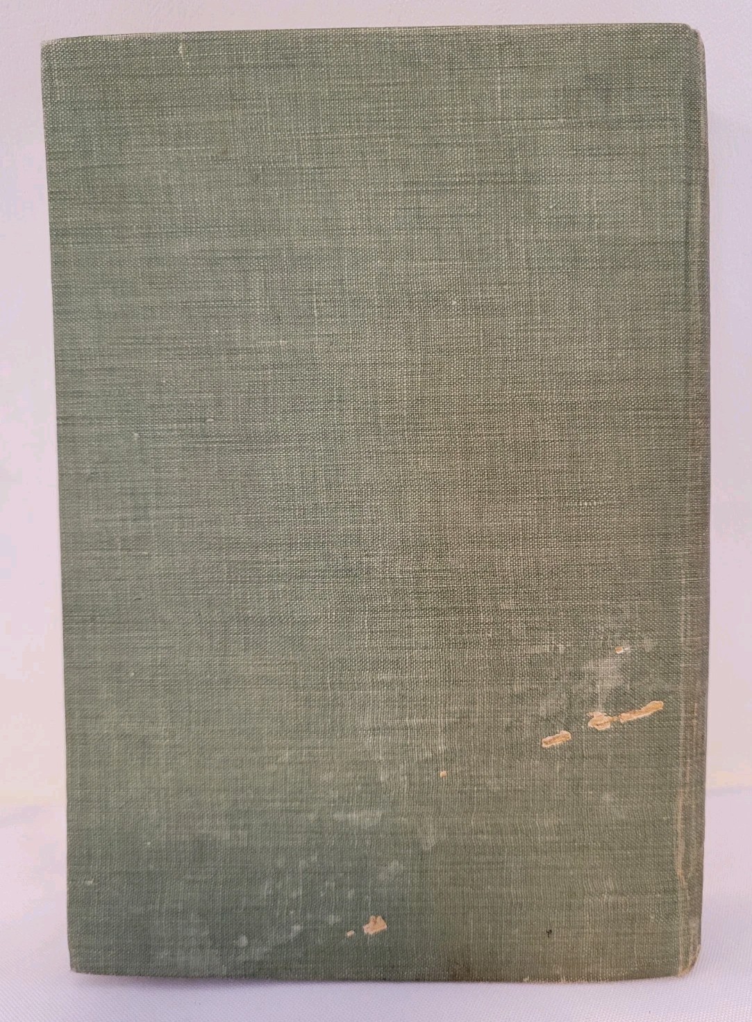 Antique Book “Keeping Up with Lizzie” By Irving Bacheller 1911 Illustrated Ed.