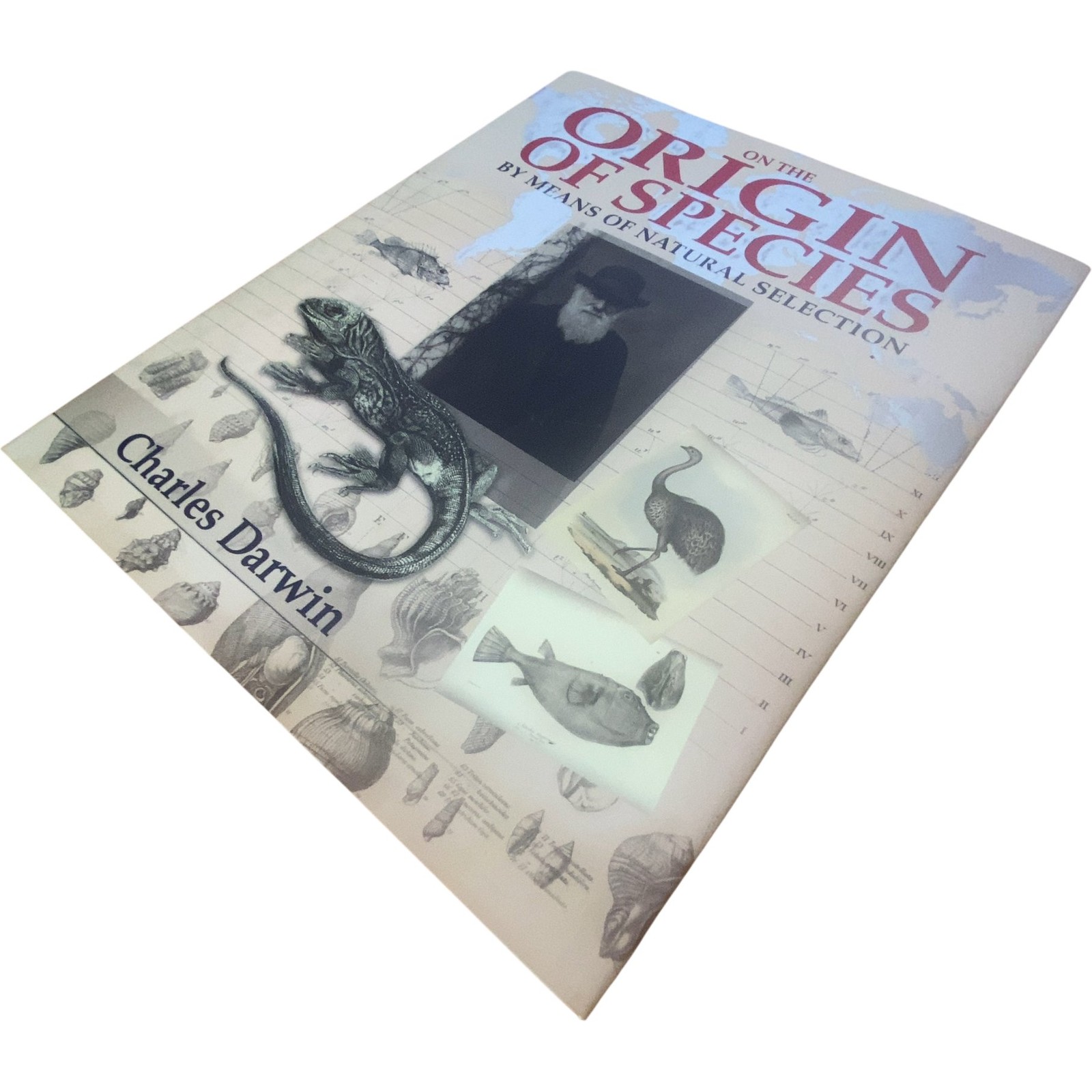 On The Origin Of Species Means Of Natural Selection Charles Darwin Illustrated