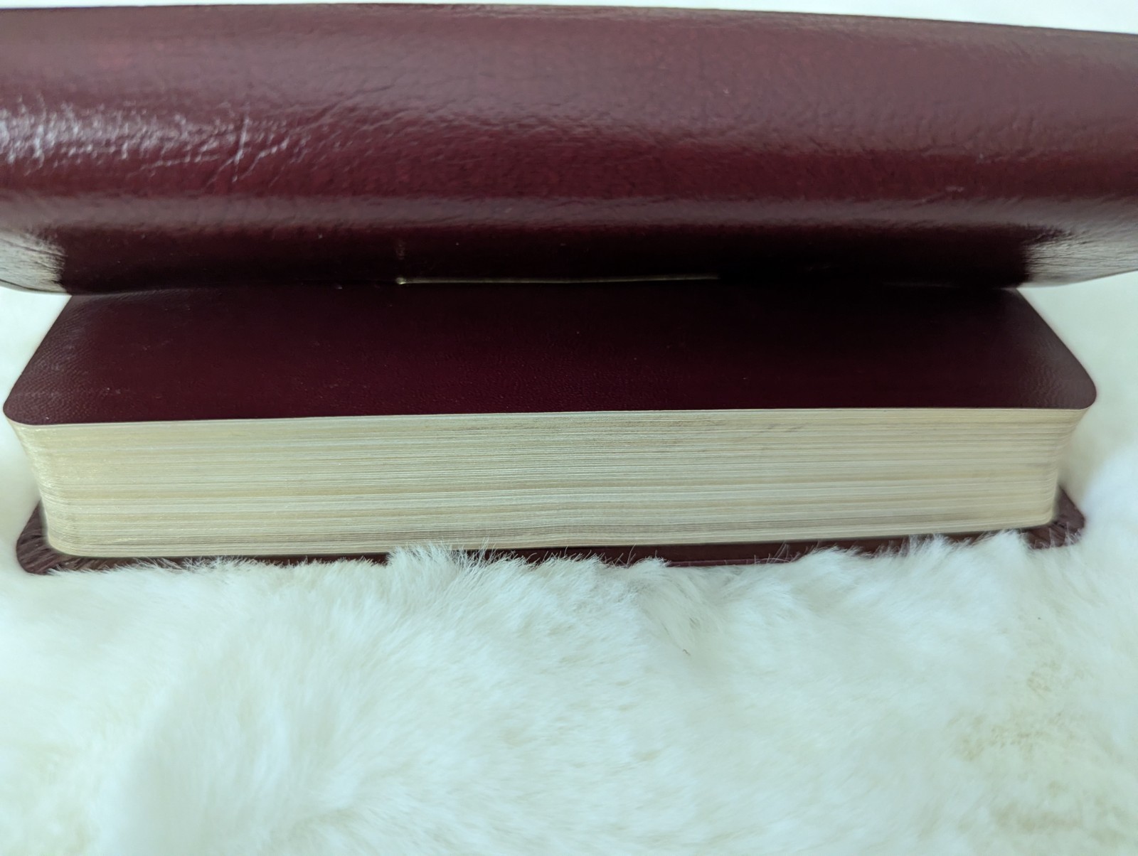 Thomas Nelson KJV Holy Bible Red Bonded Leather Red Letter Metal Clip/Snap 1972