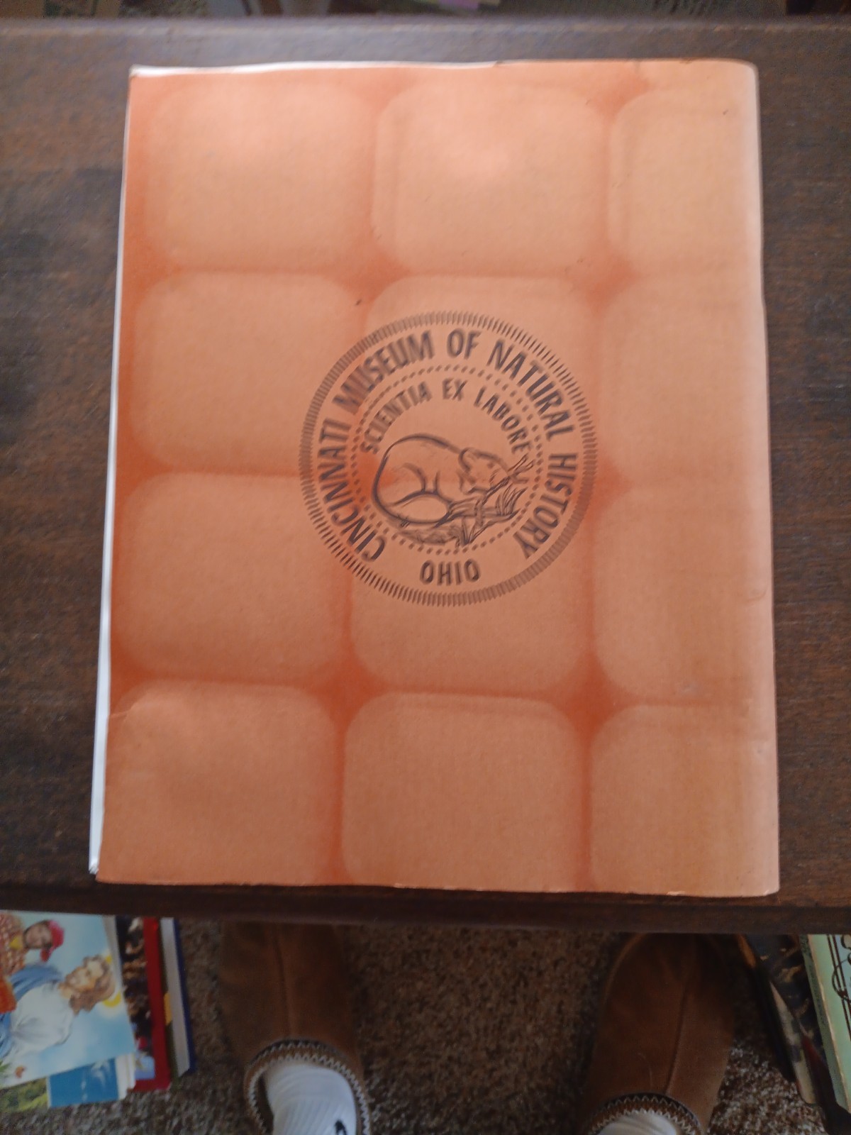 Vintage Cincinnati Fossils Guide Ordovician Rocks R A Davis Ohio Museum Book