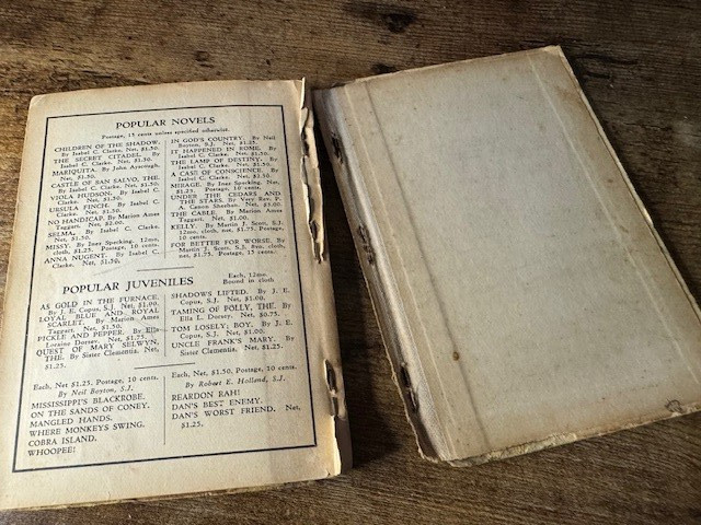 Antique Bible Stories For Little Children 1894 Cardinal McCloskey Benzinger Bro