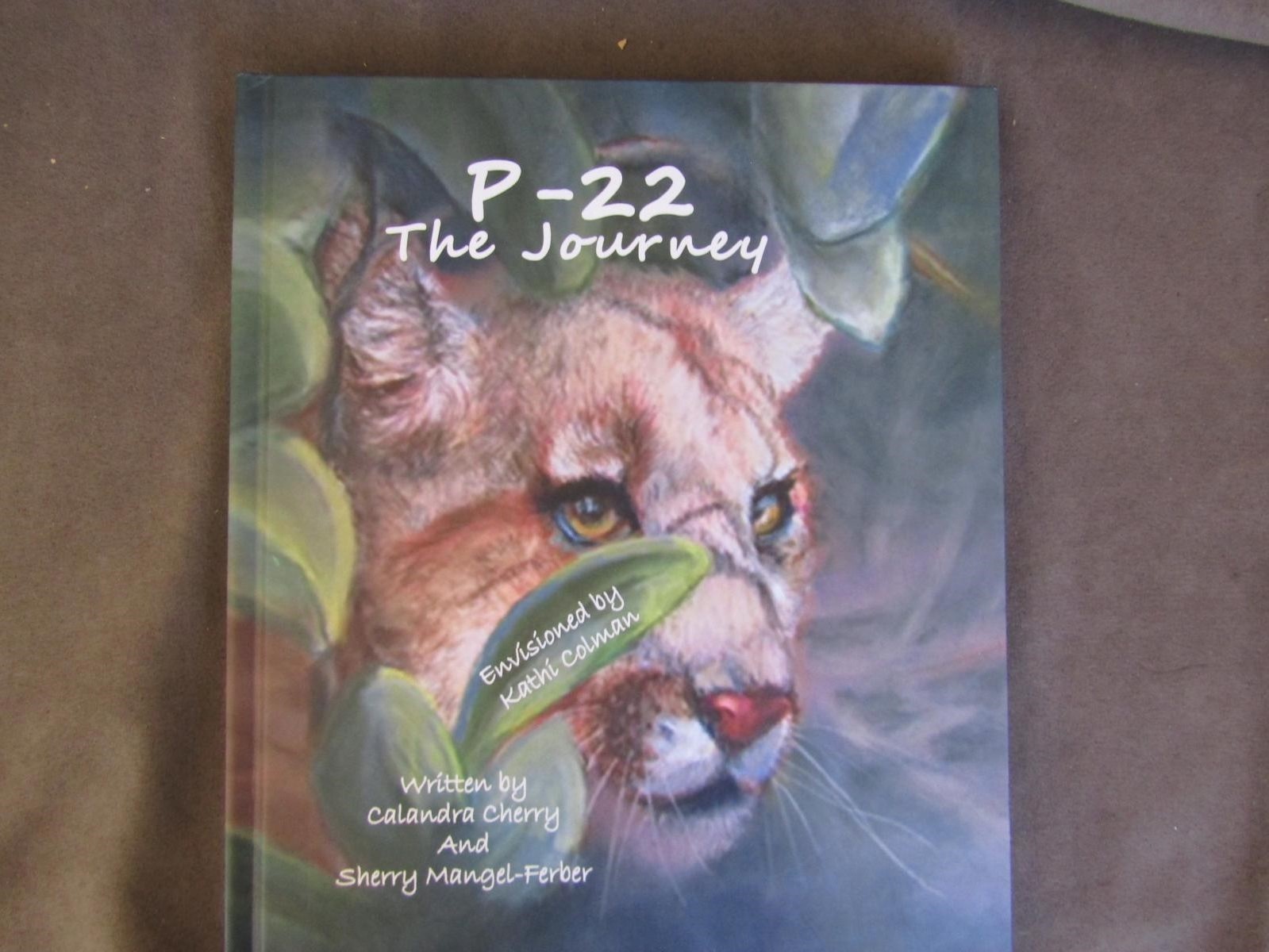 2018 1st Signed – P22 The Journey – Mountain Lion Santa Monica Mountains ch511