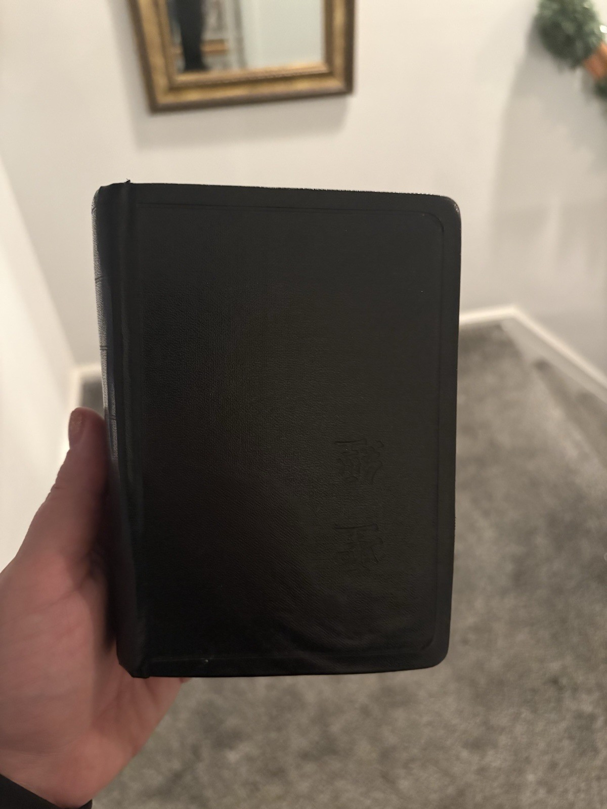 Vintage Chinese Language Book w/ Illustrations – Traditional Characters