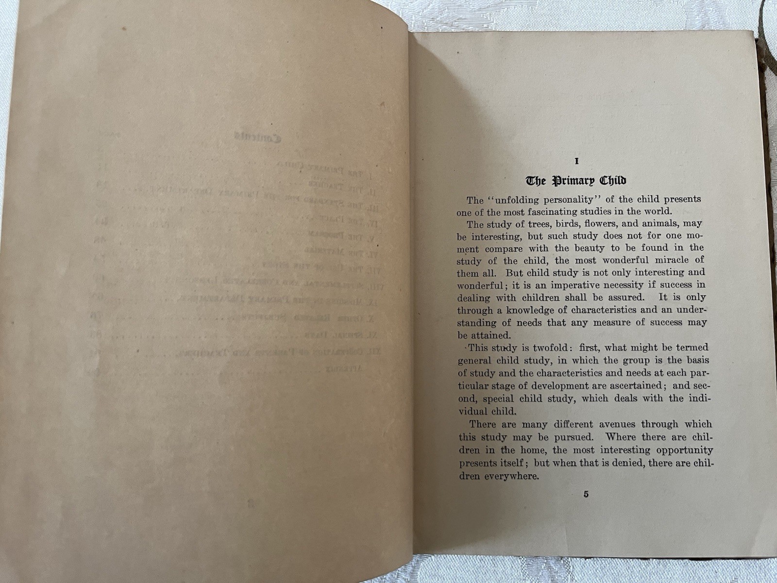 The Primary Department by Phebe Curtiss School Teaching Child Book Antique 1920