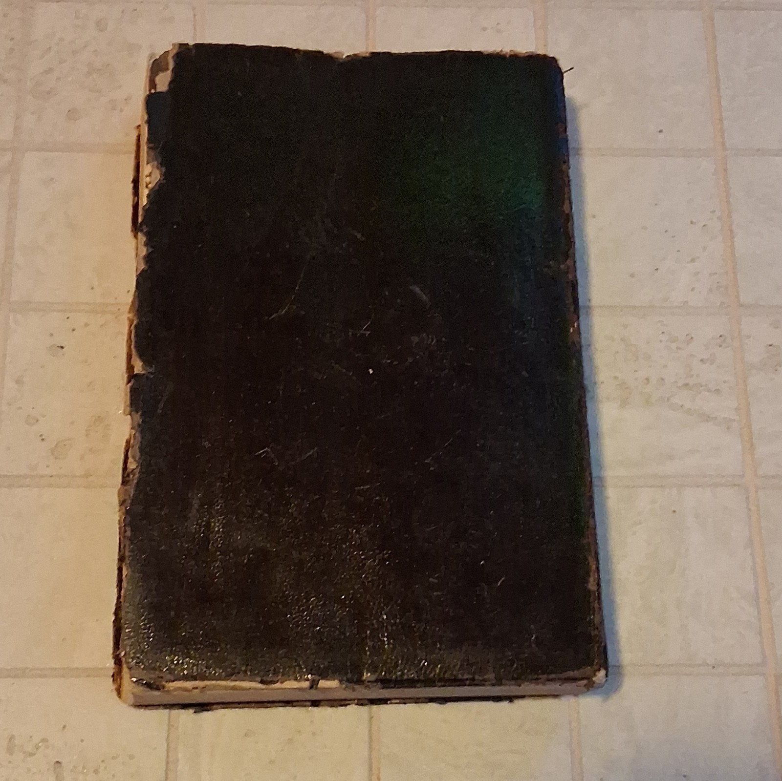 Lyof N Tolstoi What Is To Be Done? Life The Complete Works 1899 Leather Bound