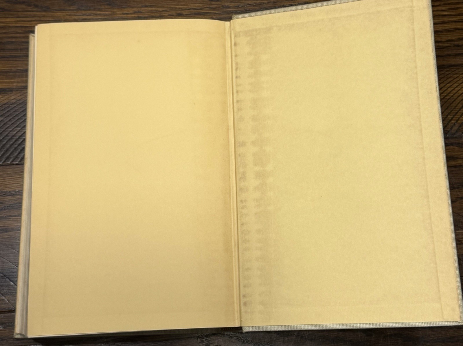 Leo Tolstoy Anna Karenina 2 Vol Set 1939 Random House Illustrated Hardcover