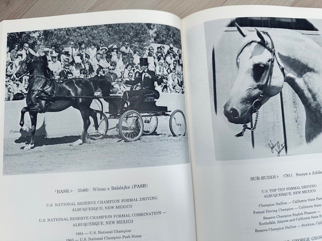 Arabian Horse Yearbook 1967 IAHA Vol XV Arabian Horse Books / Memorabilia