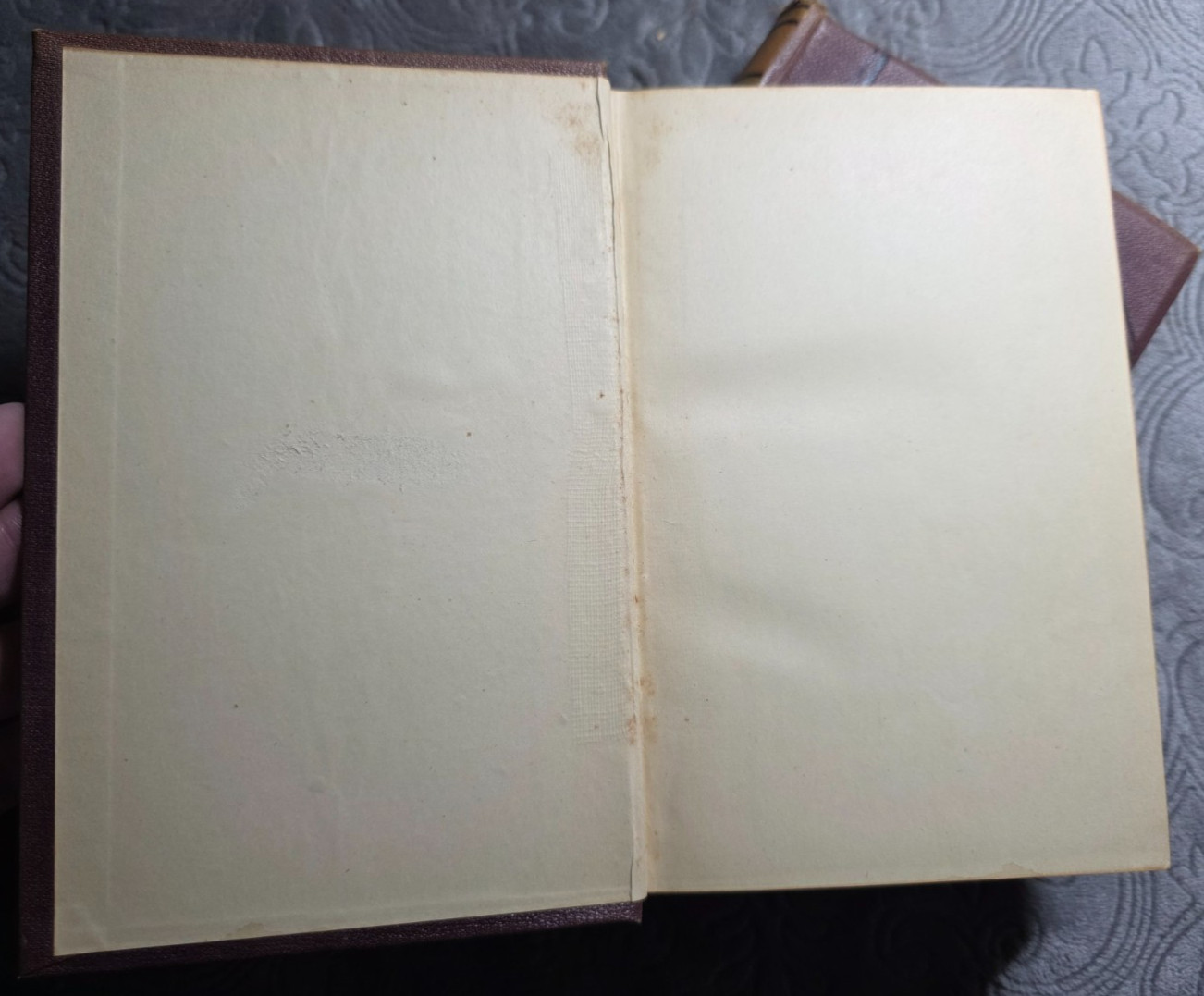 Sir Walter Scott 1883 Subscription Edition 2‑Vol SET Monastery & Bride of Lammer