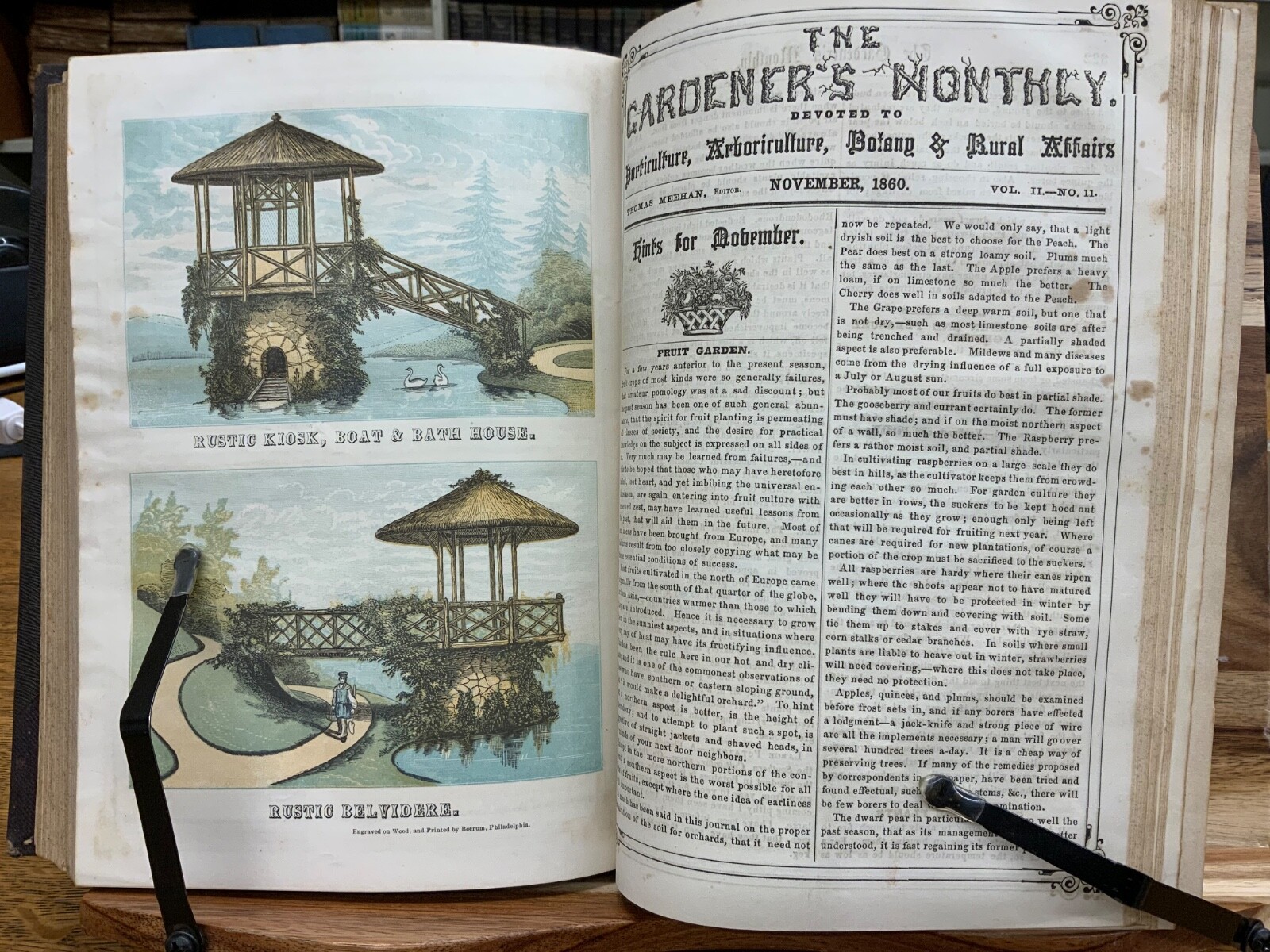 1860 Gardener’s Monthly + Horticulture Thomas Meehan Volume 2 Color Plates