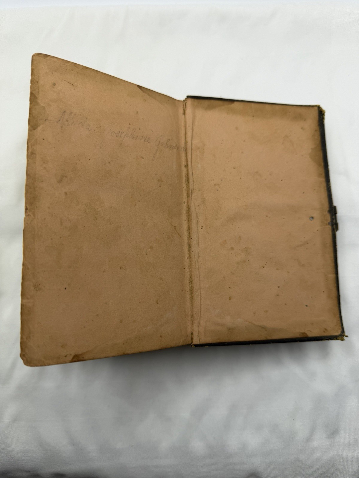 Holy Bible New & Old Testaments Orig Tongues New York American Bible S. 1866