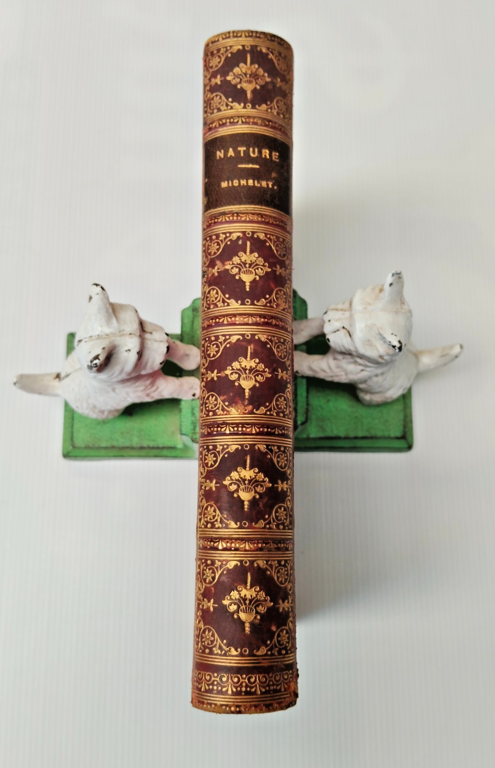 Stunning Antique Book 1893 Michelet Nature Embossed Leather Ipswich Grammar -AF