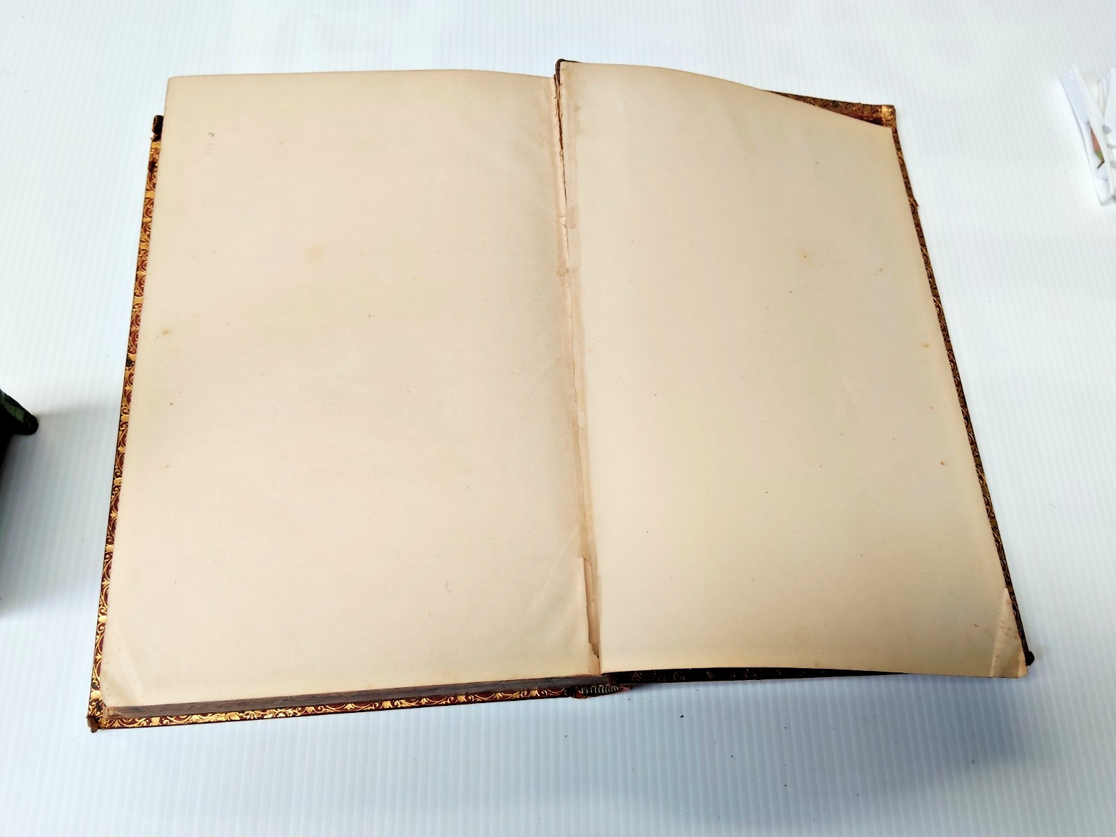 Stunning Antique Book 1893 Michelet Nature Embossed Leather Ipswich Grammar -AF