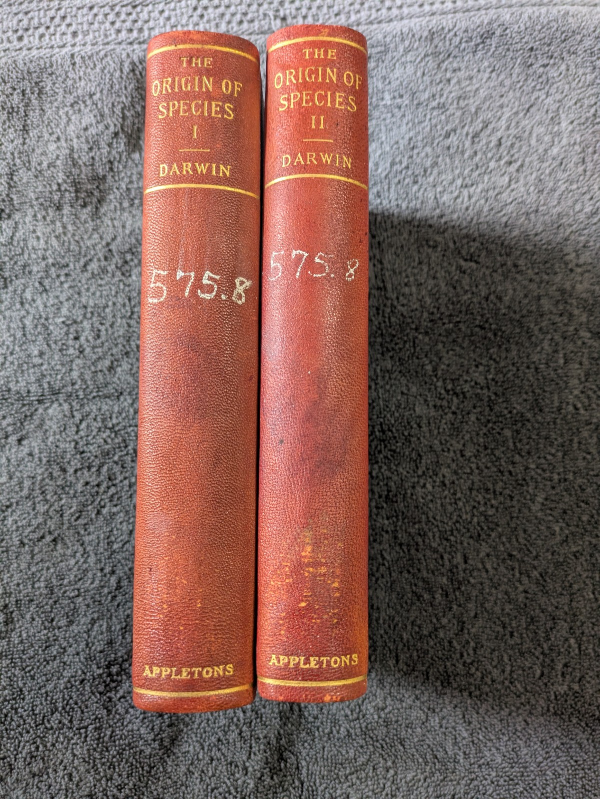 Charles Darwin 2 Volume set 1896 ORIGIN OF SPECIES 1 & 2 Luxury Edition Antique