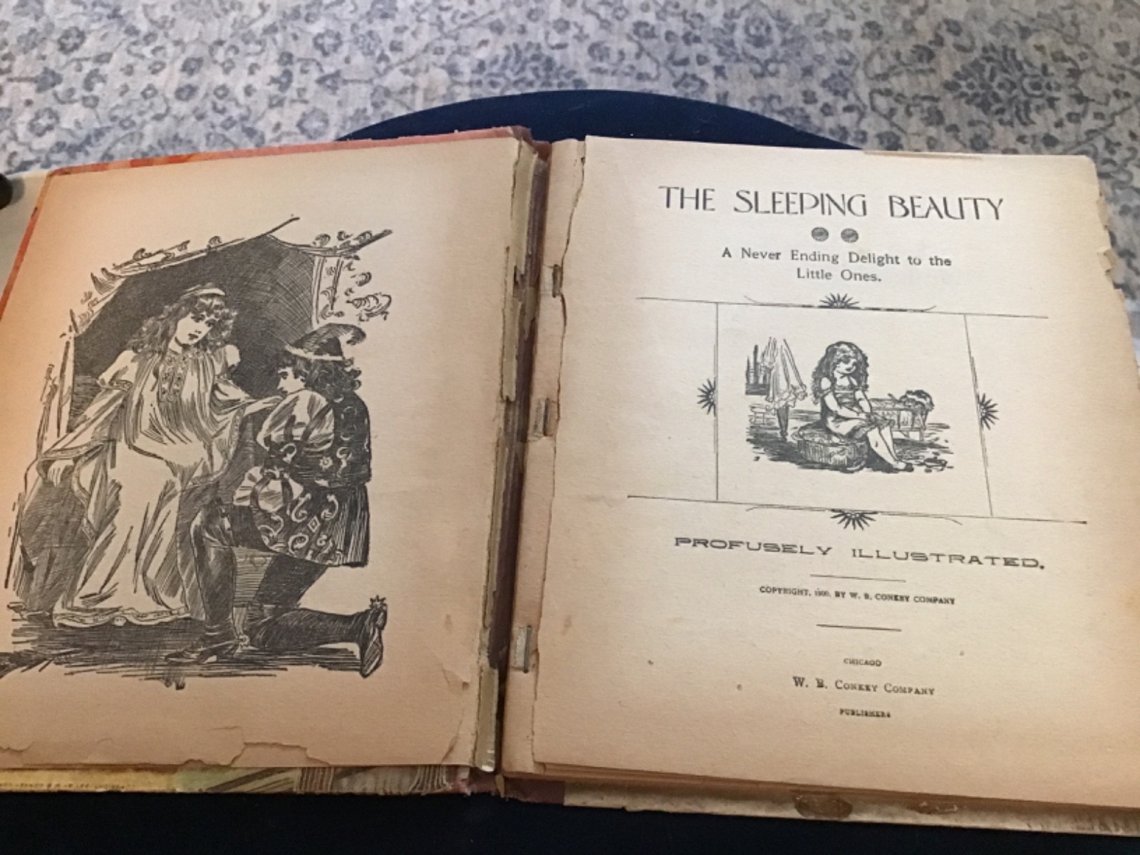 ANTIQUE BOOK The Sleeping Beauty 1897