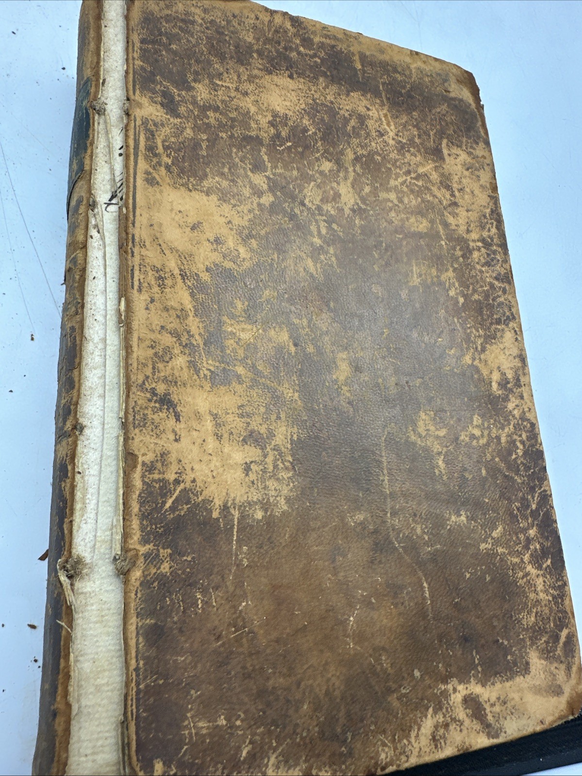Roman Antiquities Manners & Customs of Ancient Rome 1814 Classical History (18-1