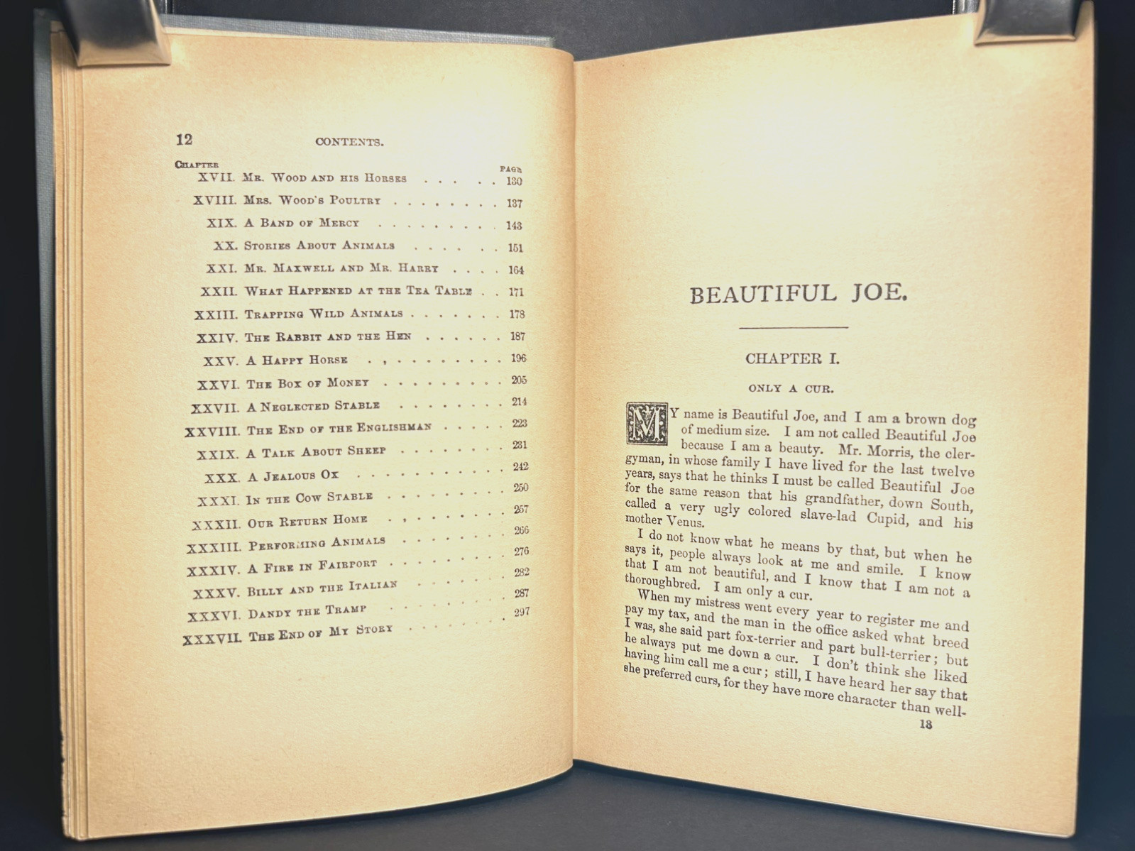 Antique Christian Novel BEAUTIFUL JOE AN AUTOBIOGRAPHY OF A DOG Fine Binding1904
