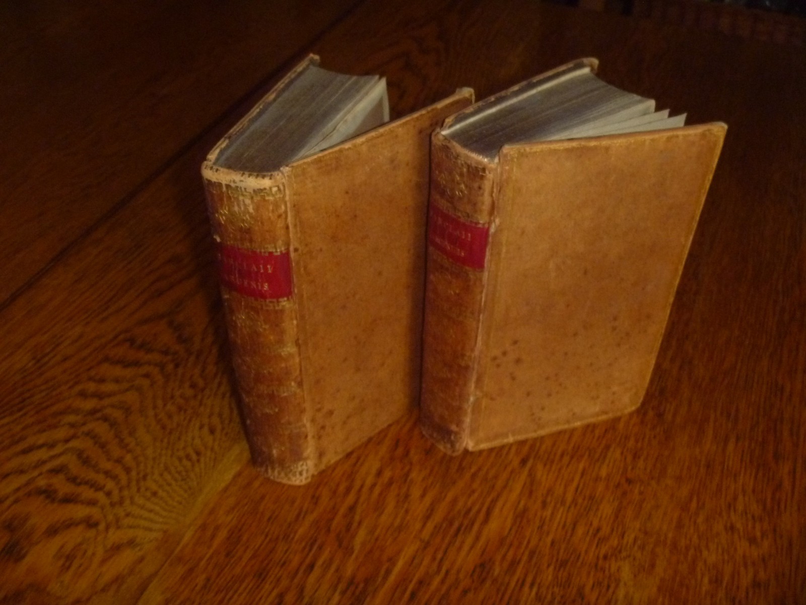 1664 and 1669 John Barclay and Gabriel Bugnot. Argenis; Archimbrotus – Argenidis