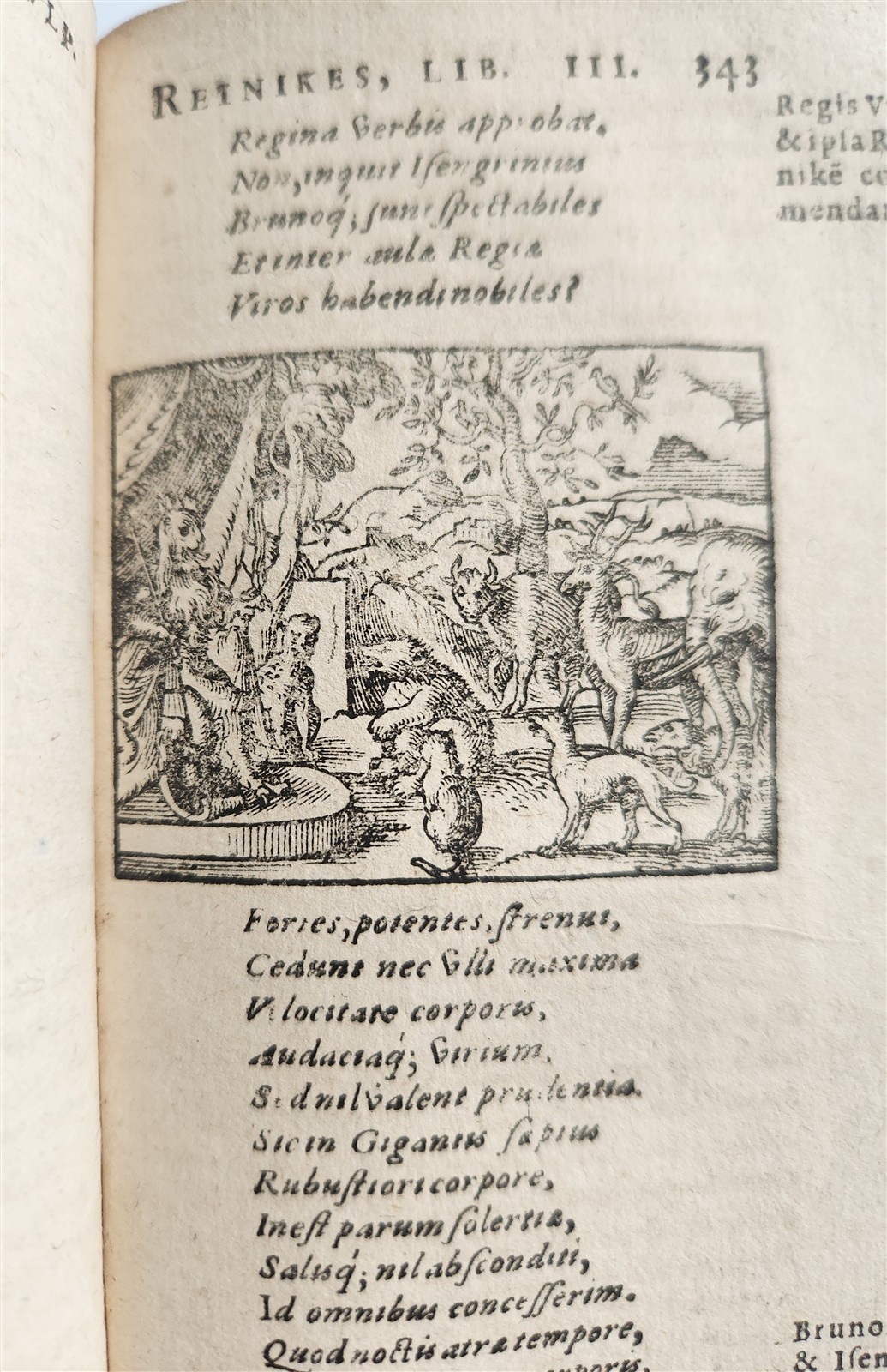 1595 REYNARD the FOX in LATIN illustrated by Jost Amman & Virgil Solis ANTIQUE