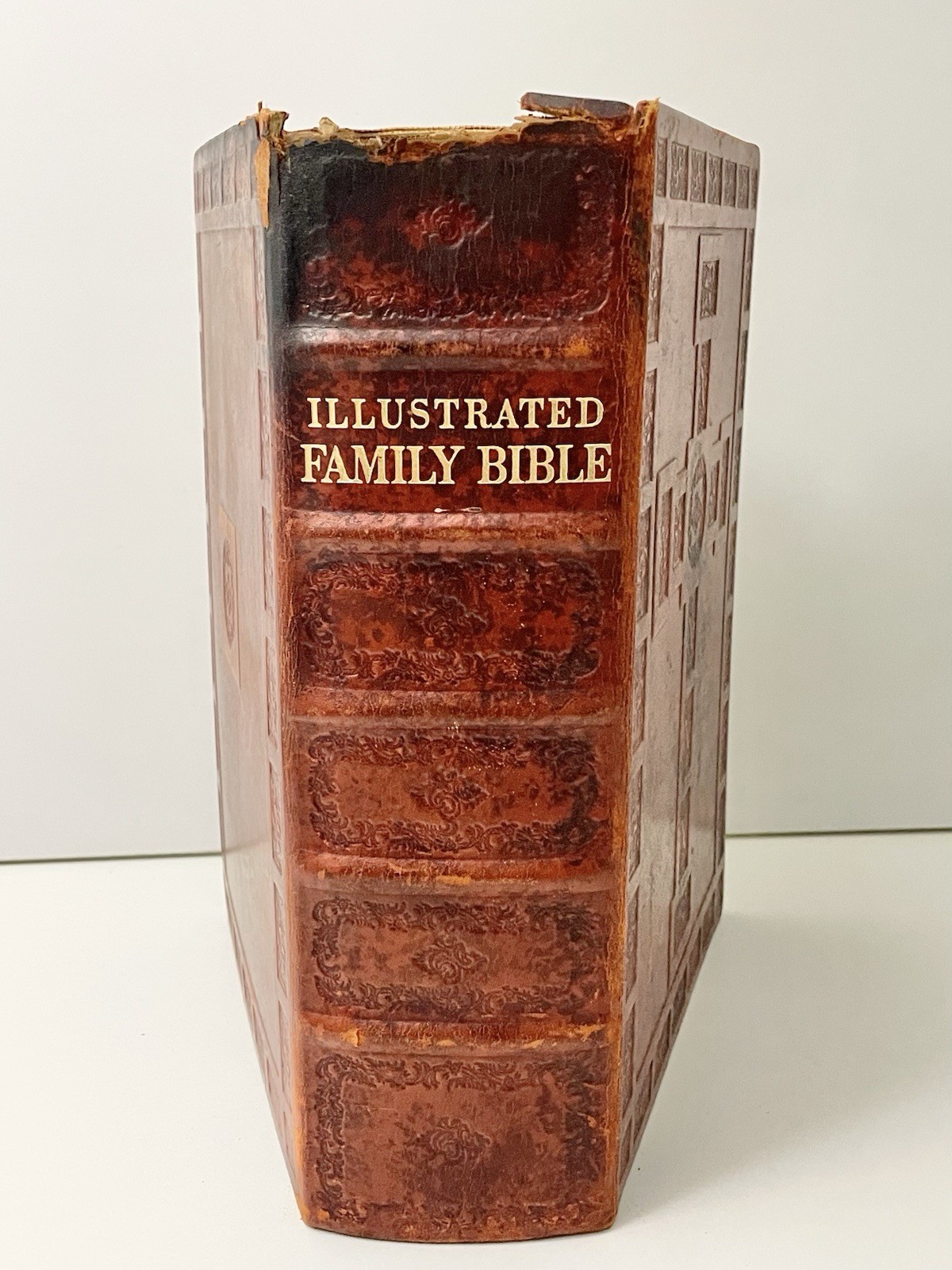 Illustrated Family Bible 1930’s Heavy Leather Gothic Gustave Doré Illustrated