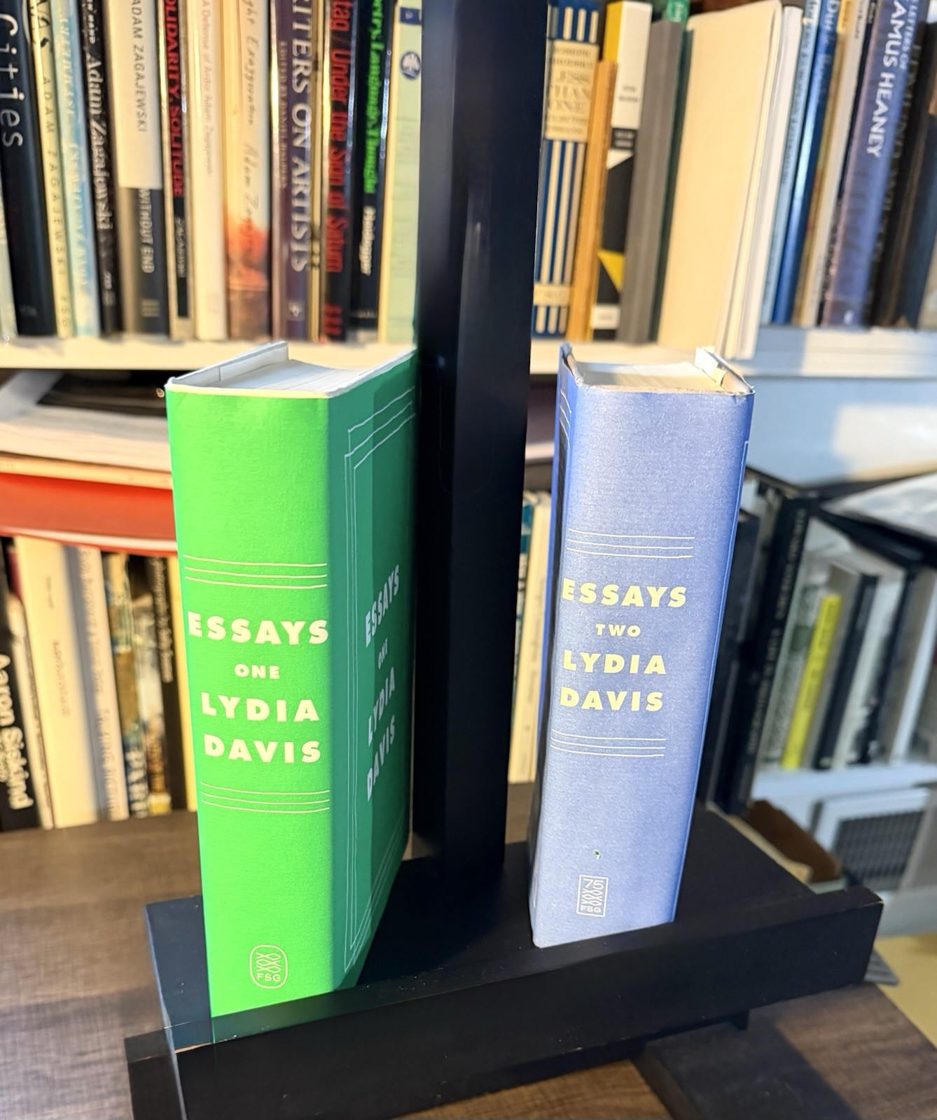 Lydia Davis / Essays One and Two / HCDJ / 1st Ed. / FSG, 2019 & 2021