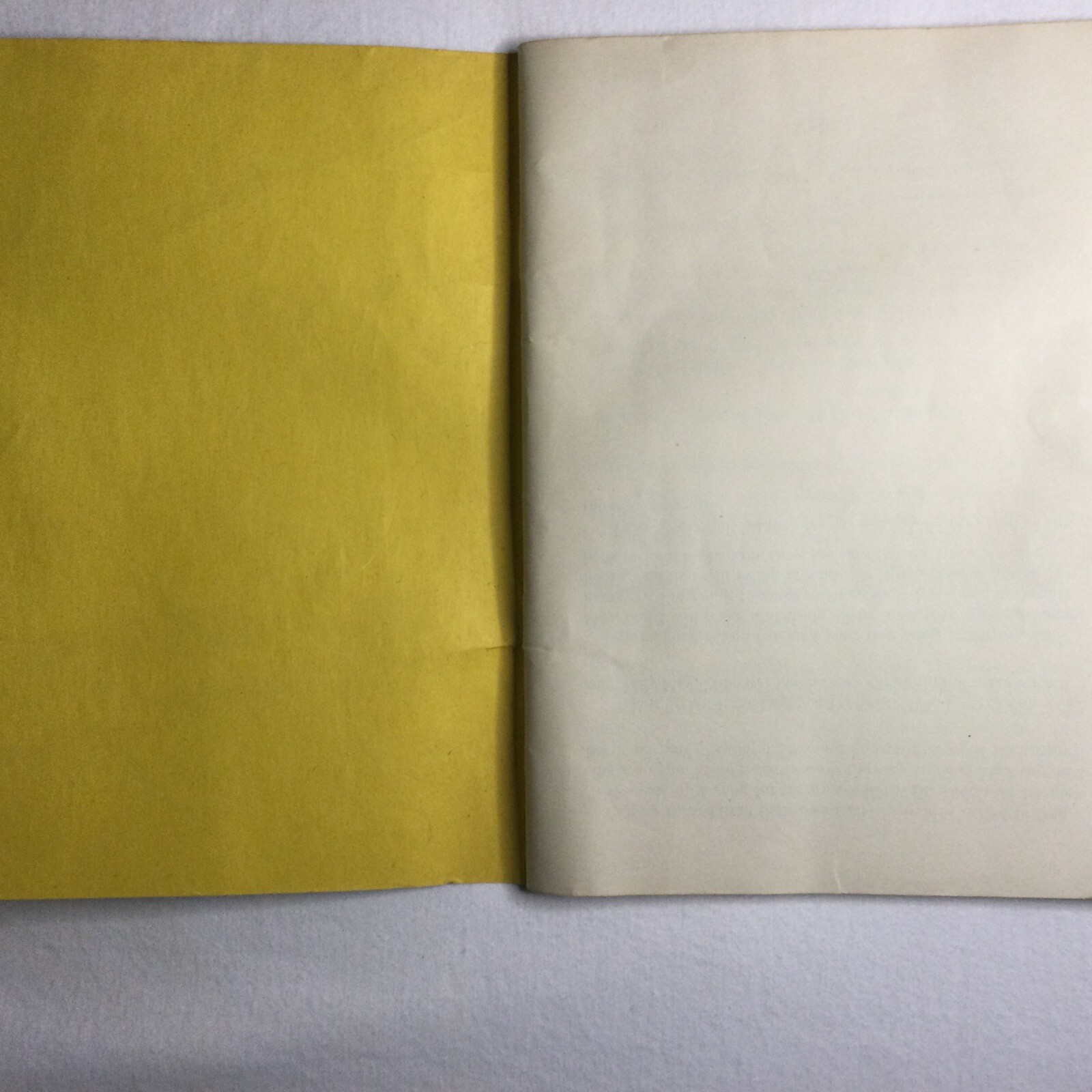 LILLY MAY AND DAN: TWO CHILDREN OF THE SOUTH Marel Brown 1st Ed African Am 1946