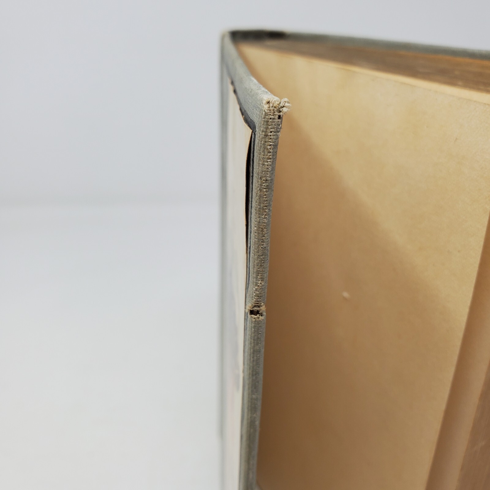 Zelda Dameron by Meredith Nicholson – 1904, 1st Edition, Bobbs-Merrell – HC