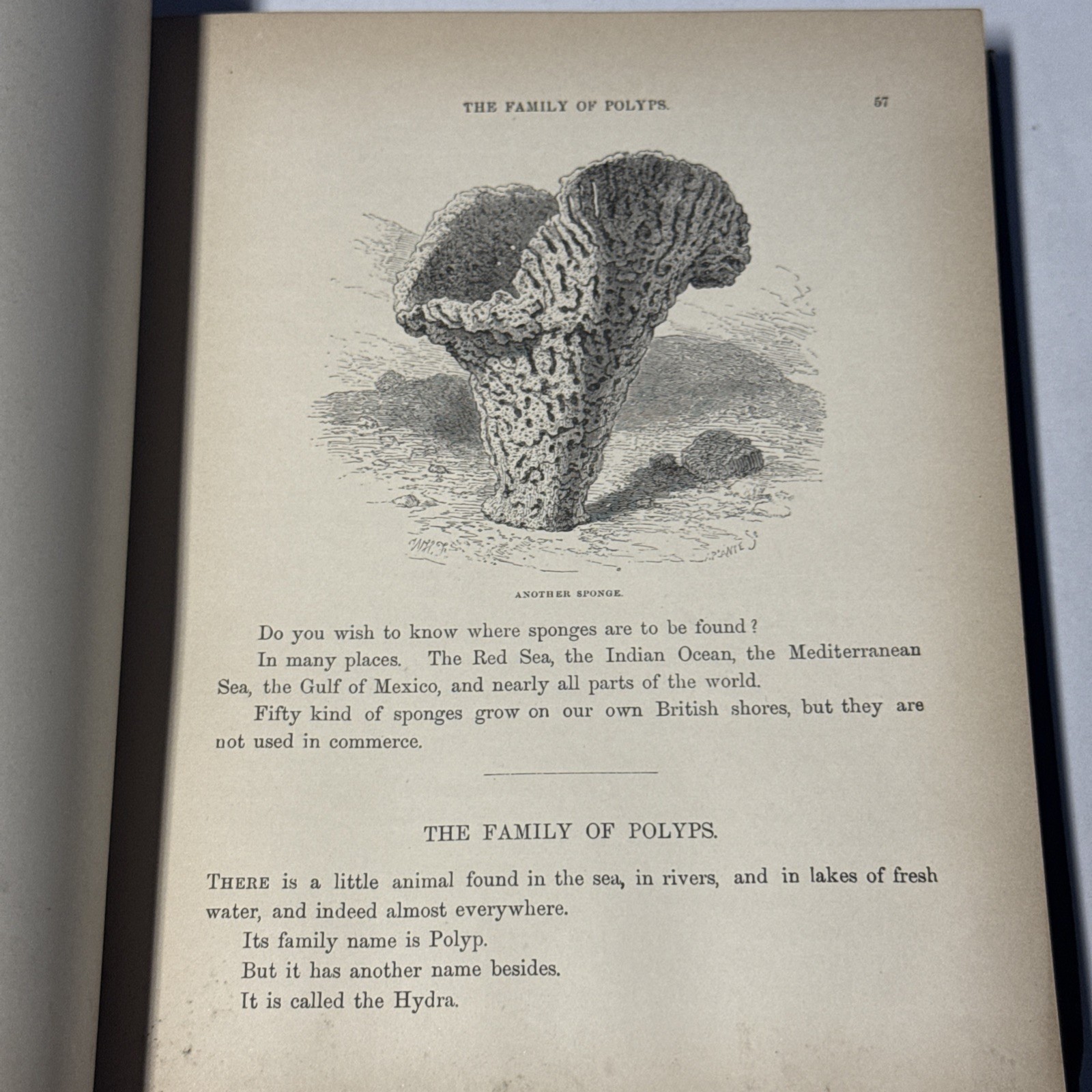 Antique Maritime Book “The Sea and Its Wonders” c.1880s – Ocean Currents Map & A
