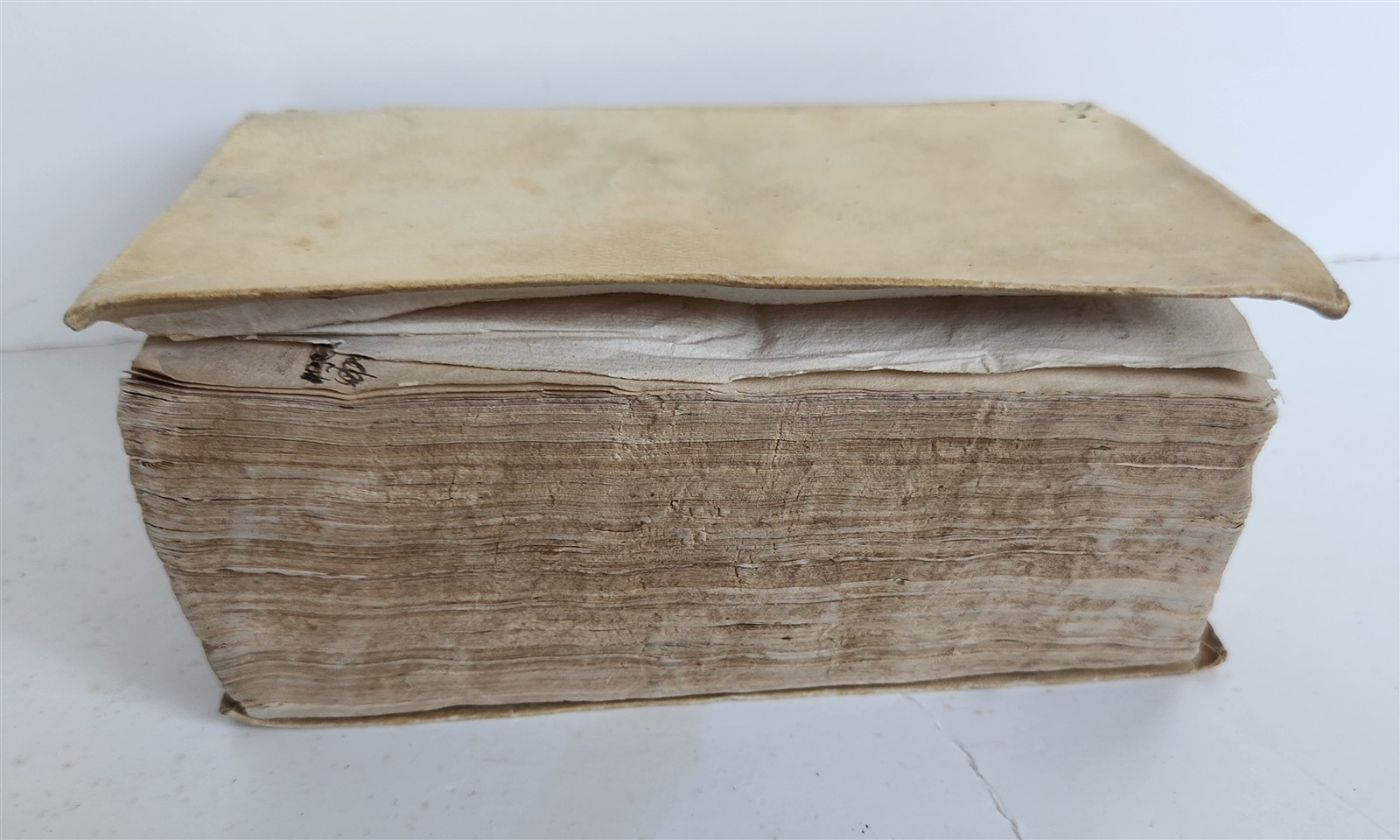 1537 Theophylactus de Achrida ANTIQUE In omnes D. Pauli epistolas enarrationes