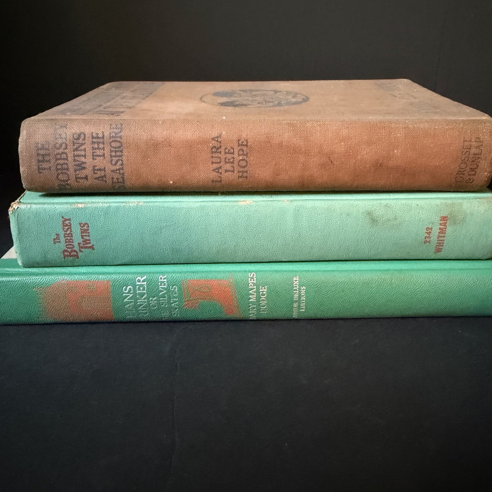 Lot of 3 Vintage Children’s Books Bobbsey Twins Hans Brinker Hardcovers