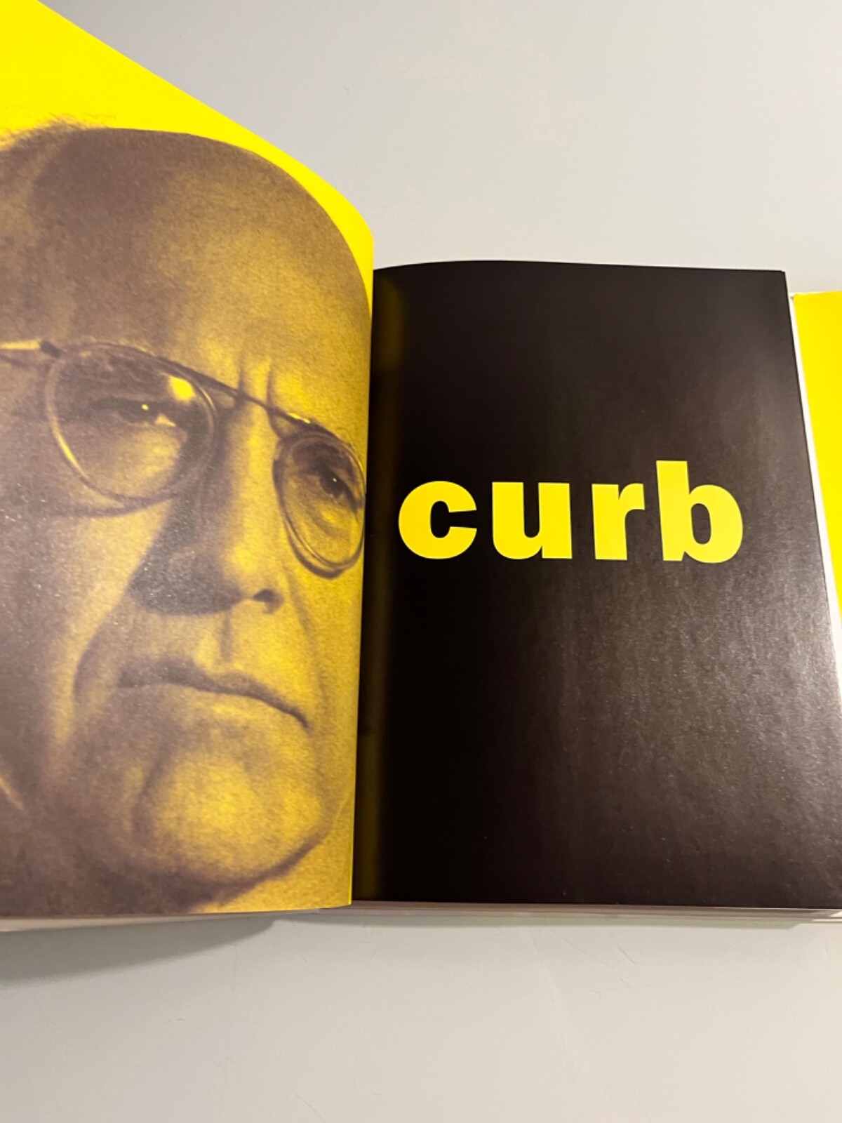 Larry David CURB YOUR ENTHUSIASM The Book HBO 2006 Gotham 1st Ed. 1st Print HCDJ