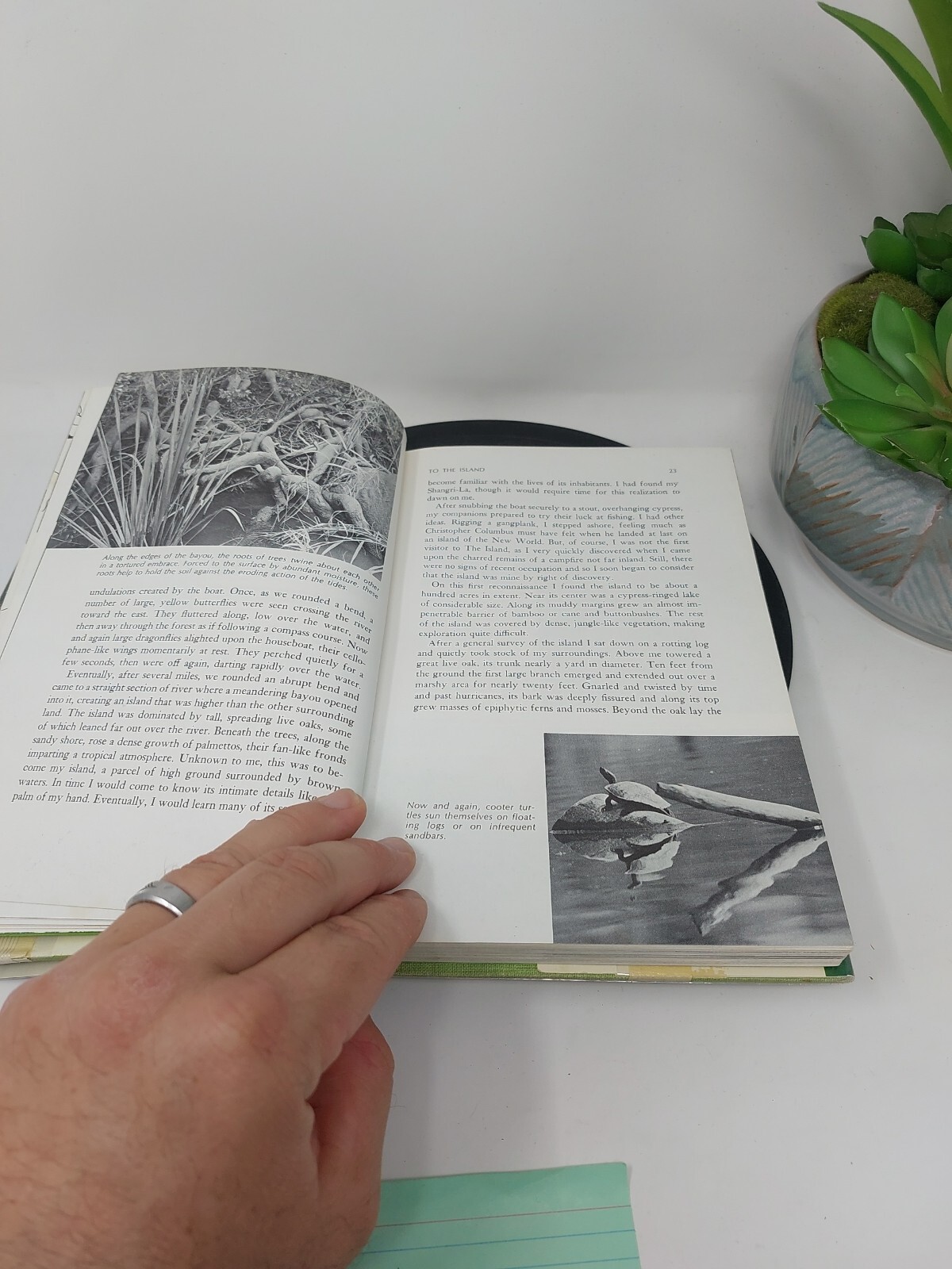 Ross E Hutchins / Island of Adventure Naturalist Explores Gulf Coast 1st ed 1968