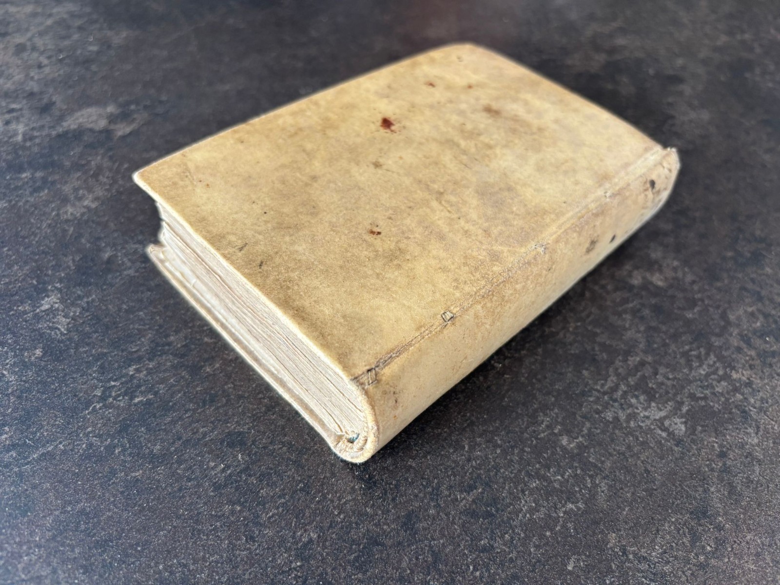 1734 1751 Antique Religious Books VELLUM LEATHER Jansen Rotterdam TheologiaMoral