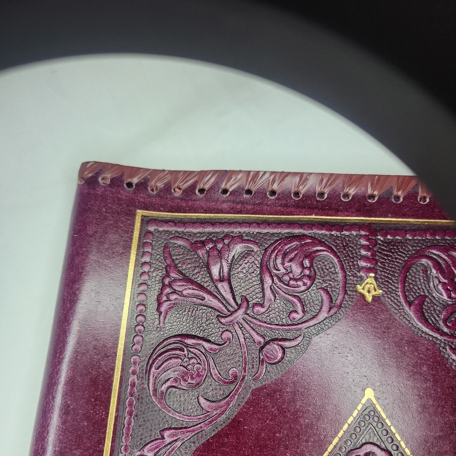 Vintage/Antique Victorian Era Embossed Leather Book cover 11×8