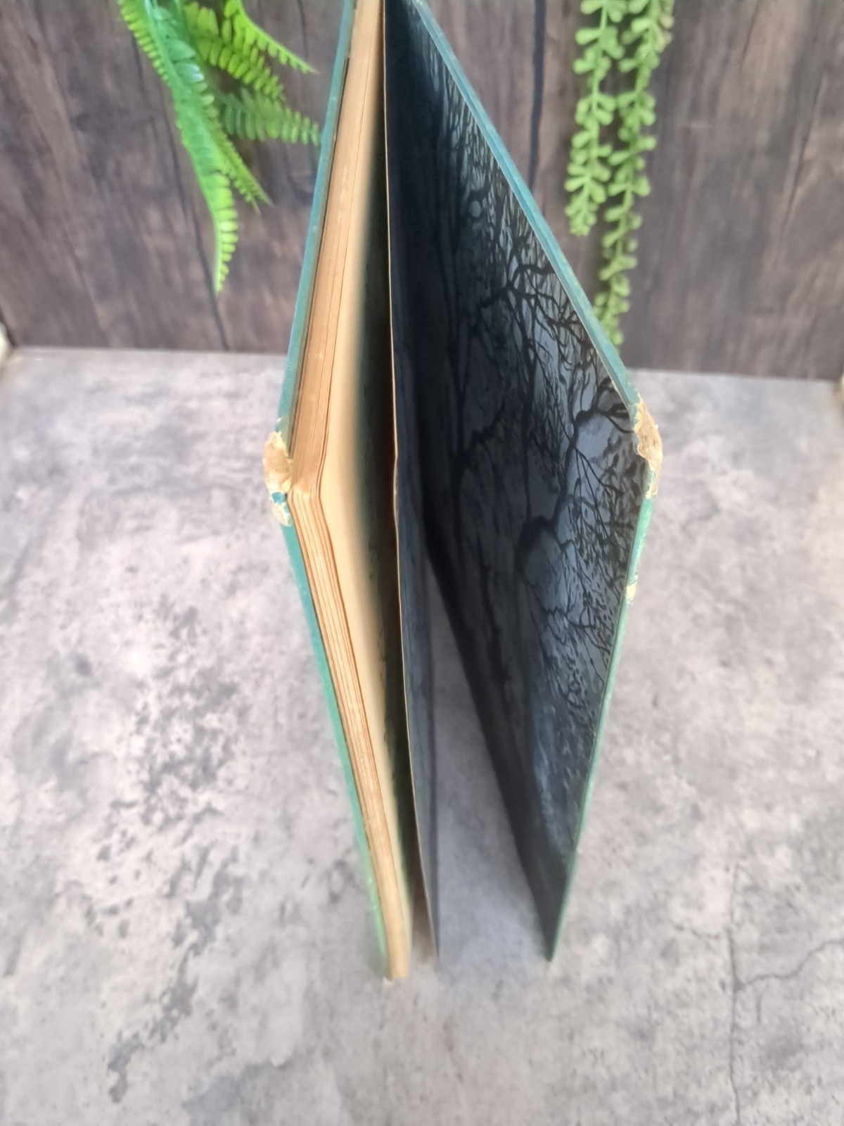 The Giant Golden Book of Elves and Fairies Jane Werner 1951 – Simon and Schuster